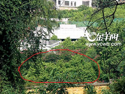 编 号: 1521932 　　　
摄影作者: 　　
文件名:yzfhrb5722.jpg　　
文件大小:77K　　
高 X 宽:300 X 400　　
说明:yzfhrb5722.jpg
