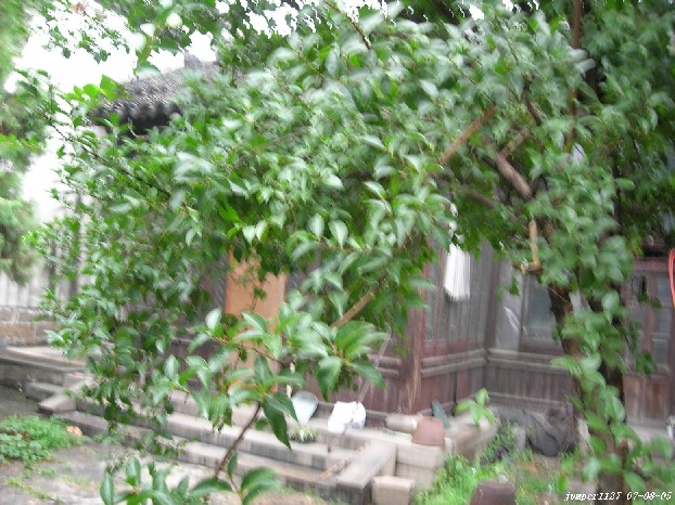 上传图片